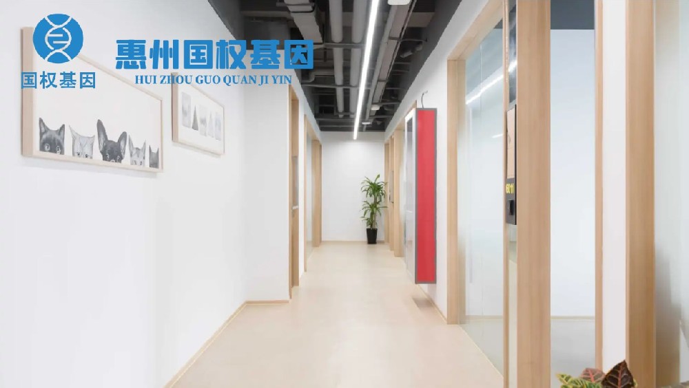 汇总！惠州8家亲子鉴定机构（附2025年地址合集）