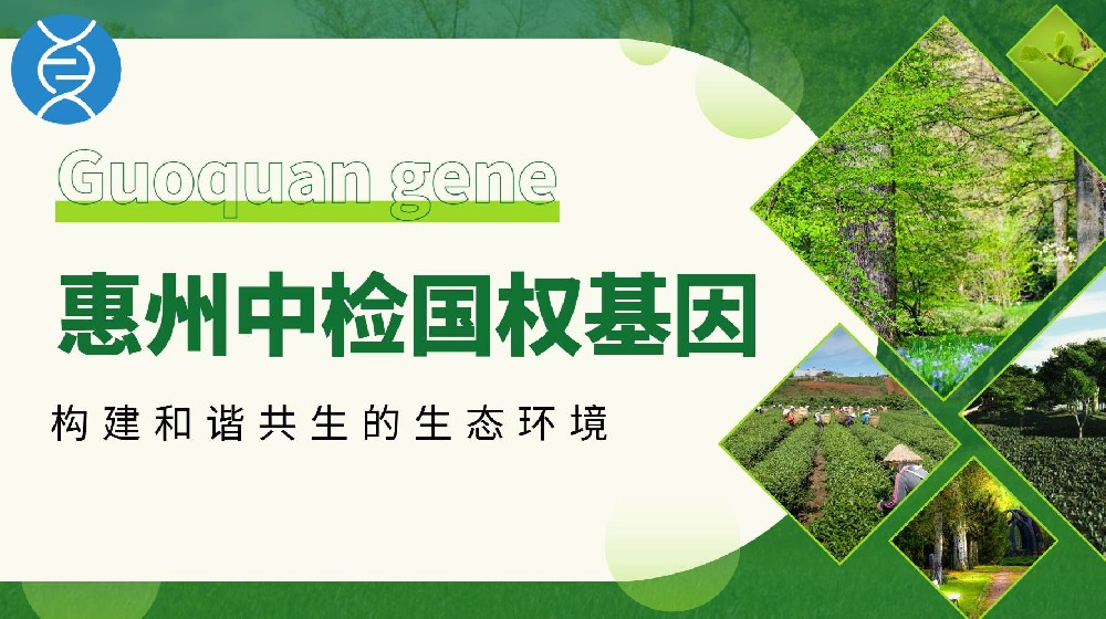 选择惠州正规可靠的亲子鉴定机构（附2025亲子鉴定注意事项）