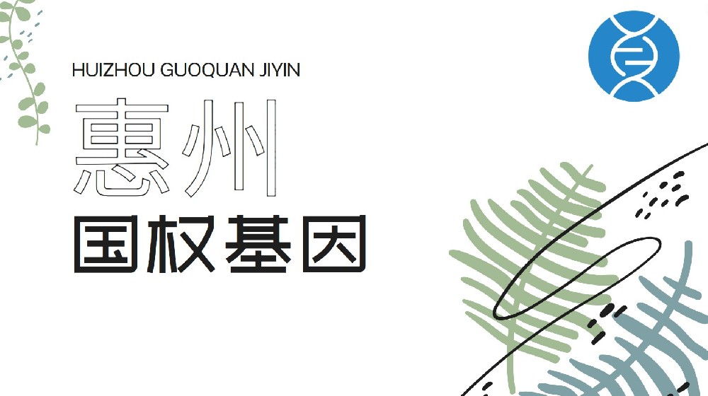 详细整合!惠州个人亲子鉴定汇总(附2026鉴定指南)